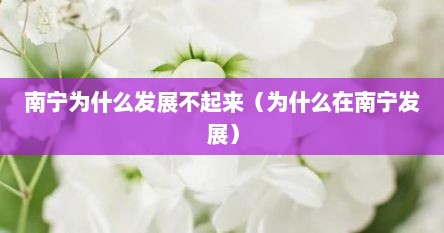 南宁为什么发展不起来（为什么在南宁发展）
