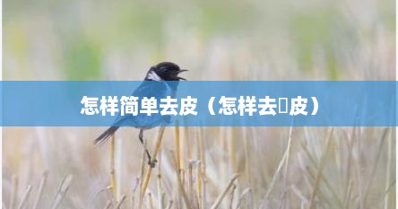 怎样简单去皮（怎样去栆皮）