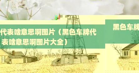 黑色车牌代表啥意思啊图片（黑色车牌代表啥意思啊图片大全）