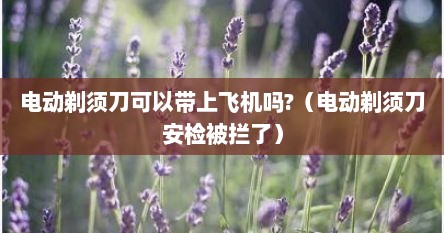 电动剃须刀可以带上飞机吗?（电动剃须刀安检被拦了）