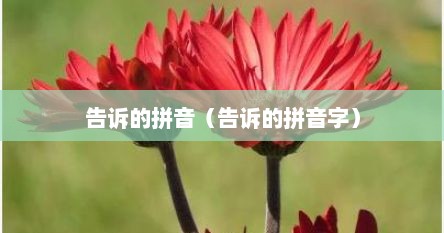 告诉的拼音（告诉的拼音字）