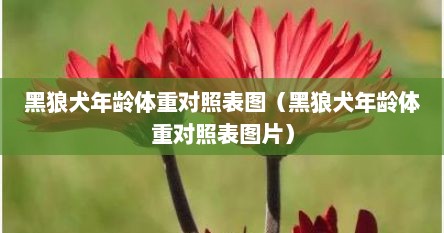 黑狼犬年龄体重对照表图（黑狼犬年龄体重对照表图片）