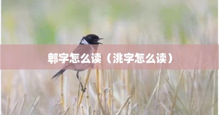 郫字怎么读（洮字怎么读）