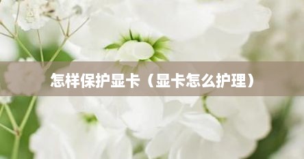 怎样保护显卡（显卡怎么护理）