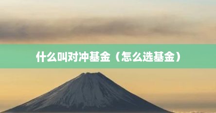 什么叫对冲基金（怎么选基金）