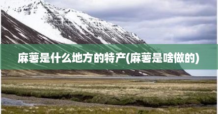 麻薯是什么地方的特产(麻薯是啥做的)
