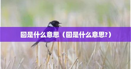 回是什么意思（回是什么意思?）