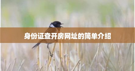 身份证查开房网址的简单介绍