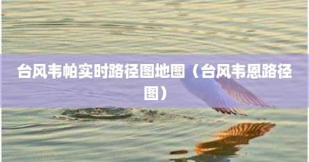 台风韦帕实时路径图地图（台风韦恩路径图）