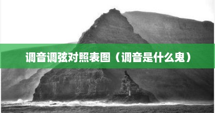 调音图解（调音有哪些术语）