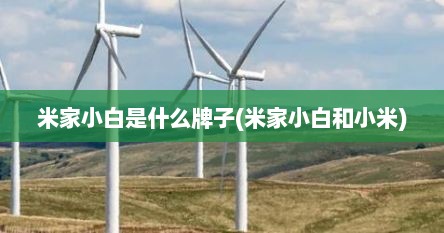 米家小白是什么牌子(米家小白和小米)