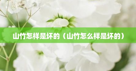 山竹怎样是坏的（山竹怎么样是坏的）