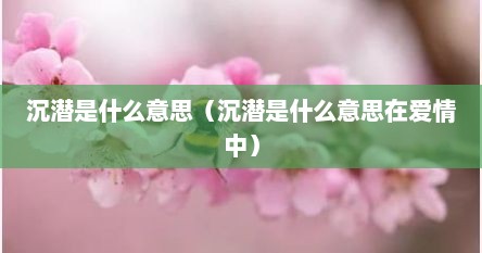 沉潜是什么意思（沉潜是什么意思在爱情中）