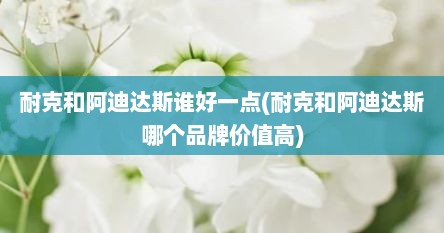 耐克和阿迪达斯谁好一点(耐克和阿迪达斯哪个品牌价值高)