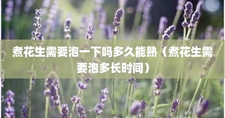 煮花生需要泡一下吗多久能熟（煮花生需要泡多长时间）