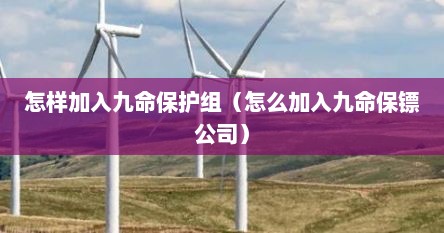 怎样加入九命保护组（怎么加入九命保镖公司）
