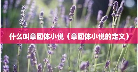 什么叫章回体小说（章回体小说的定义）
