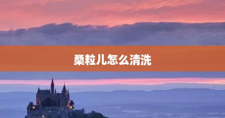 桑粒儿怎么清洗