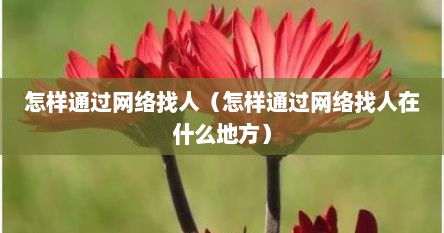 怎样通过网络找人（怎样通过网络找人在什么地方）