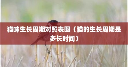 猫咪生长周期对照表图（猫的生长周期是多长时间）