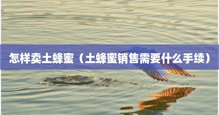怎样卖土蜂蜜（土蜂蜜销售需要什么手续）