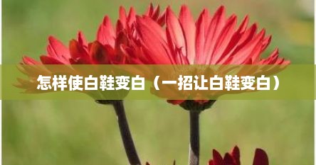 怎样使白鞋变白（一招让白鞋变白）
