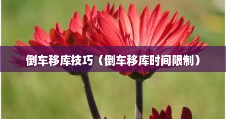 倒车移库技巧（倒车移库时间限制）
