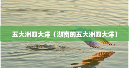 五大洲四大洋（湖南的五大洲四大洋）