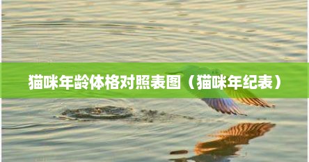 猫咪年龄体格对照表图（猫咪年纪表）