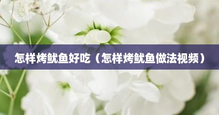 怎样烤鱿鱼好吃（怎样烤鱿鱼做法视频）