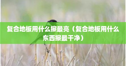 复合地板用什么擦最亮（复合地板用什么东西擦最干净）