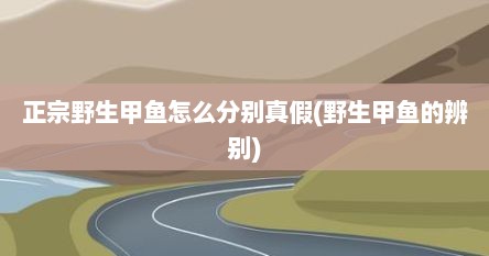 正宗野生甲鱼怎么分别真假(野生甲鱼的辨别)