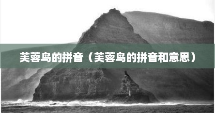 芙蓉鸟的拼音（芙蓉鸟的拼音和意思）