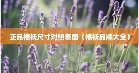 棉袄尺寸怎么看（棉袄尺码对照表）