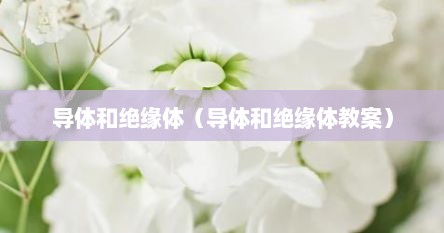 导体和绝缘体教学课件（导体和绝缘体课件ppt）