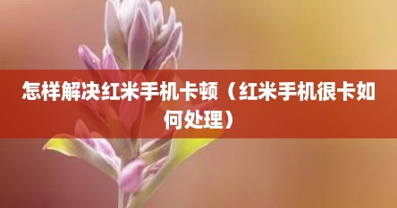 怎样解决红米手机卡顿（红米手机很卡如何处理）