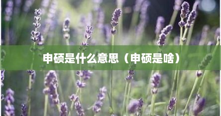申硕是什么意思（申硕是啥）