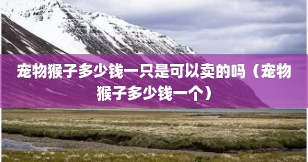 宠物猴子多少钱一只是可以卖的吗（宠物猴子多少钱一个）