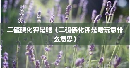 二硫碘化钾是啥（二硫碘化钾是啥玩意什么意思）
