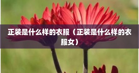 正装是什么样的衣服（正装是什么样的衣服女）