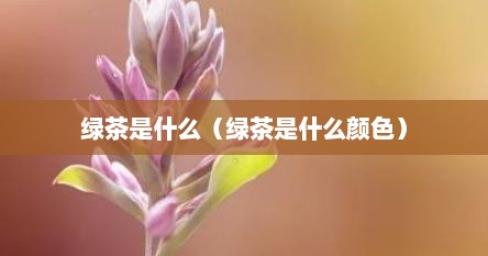绿茶是什么（绿茶是什么颜色）