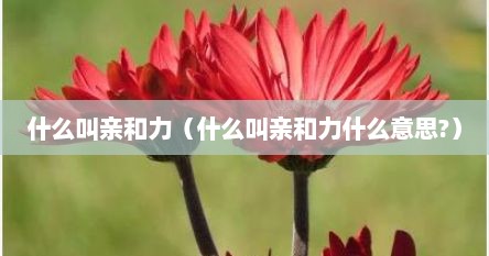 亲和力是指什么（亲和力是一种什么能力）