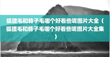 狐狸毛和貉子毛哪个好看些呢图片大全（狐狸毛和貉子毛哪个好看些呢图片大全集）