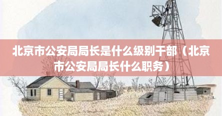 北京市公安局局长是什么级别干部（北京市公安局局长什么职务）
