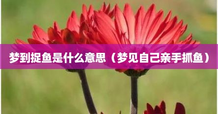 梦到捉鱼是什么意思（梦见自己亲手抓鱼）