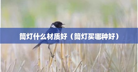 筒灯什么材质好（筒灯买哪种好）