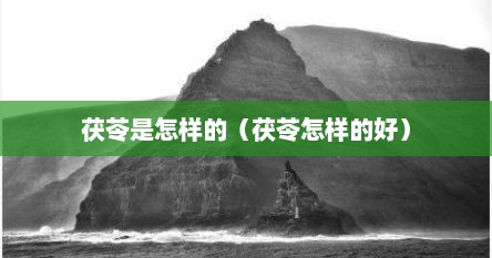 茯苓是怎样的（茯苓怎样的好）