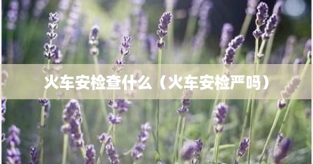 火车安检查什么（火车安检严吗）