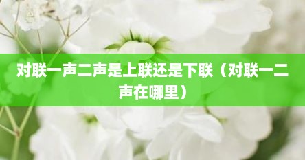 对联一声二声是上联还是下联(对联一二声在哪里)
