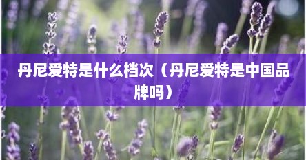 丹尼爱特是什么档次（丹尼爱特是中国品牌吗）